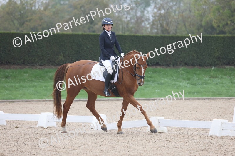 20251012-0548 - Class 4 - Novice 6