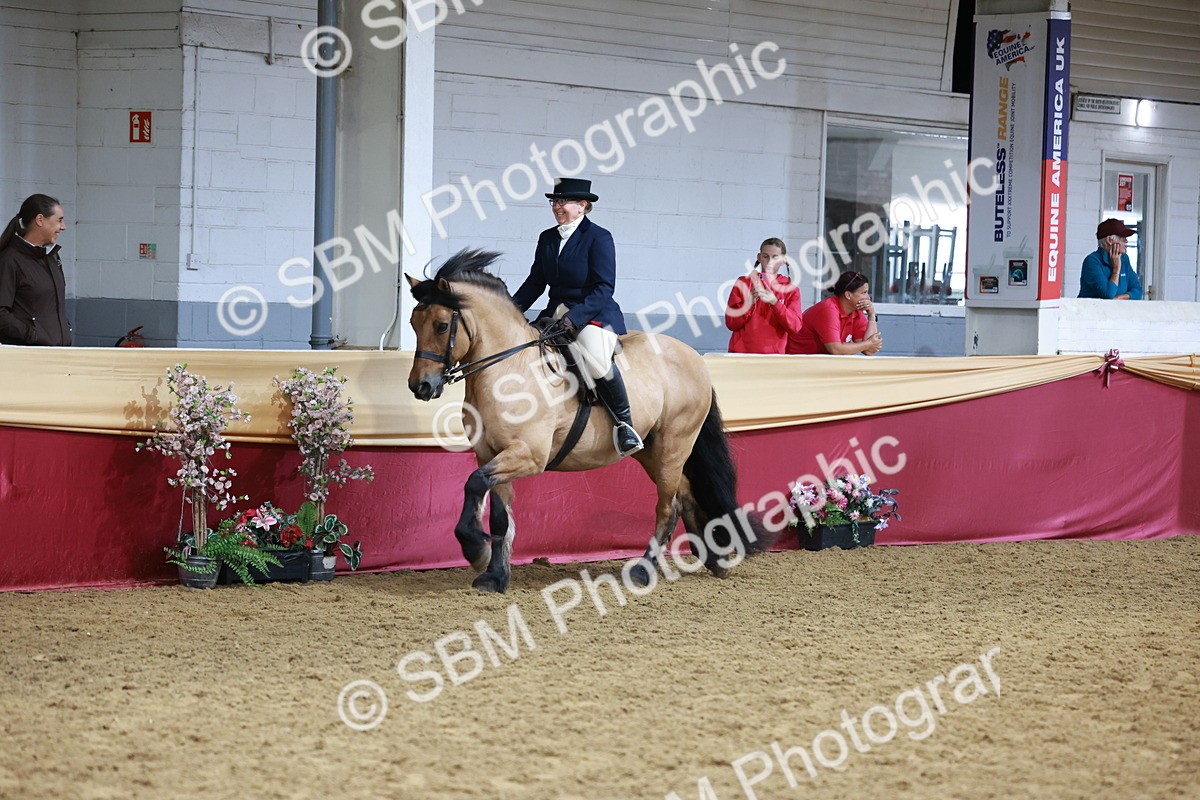 SBM_18587 - Class 952 - M&M Ridden Supreme Final