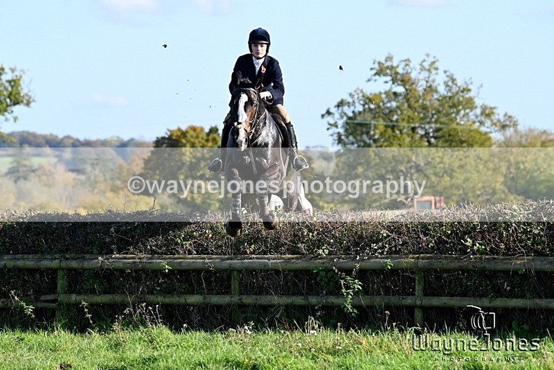 WJ6_5159 - Edited examples