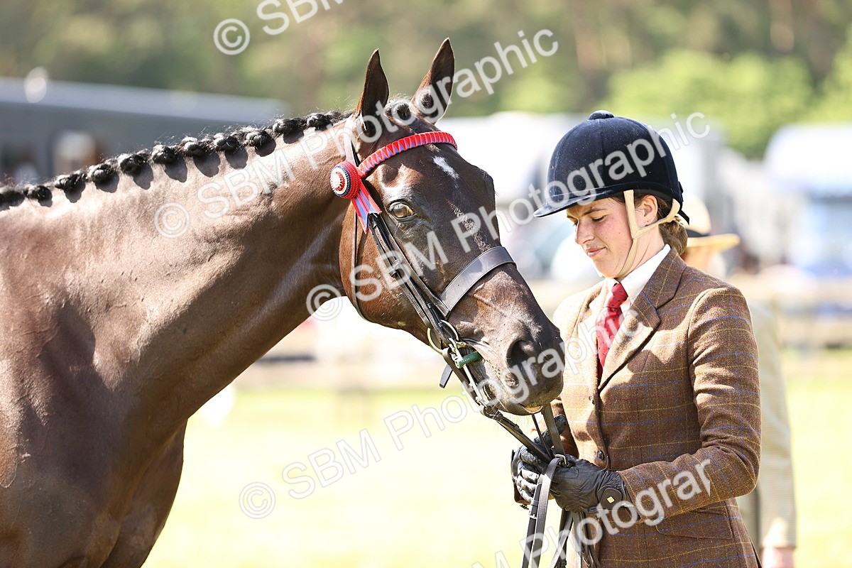 SBM_13021 - Class 75-76 LIHS BSHA Rising Star Hack Riding Horse
