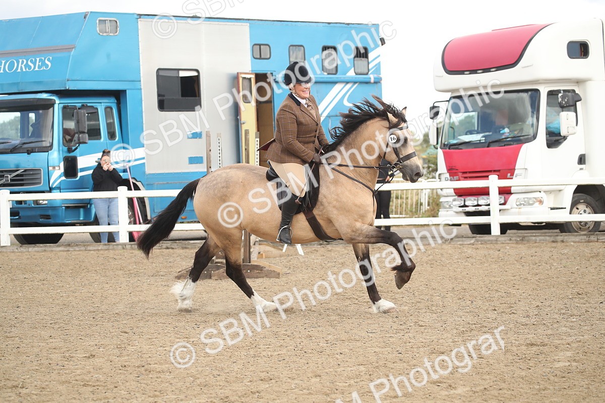 SBM_14567 - Class 505a - M&M Working Veteran - 50cm (15-19)