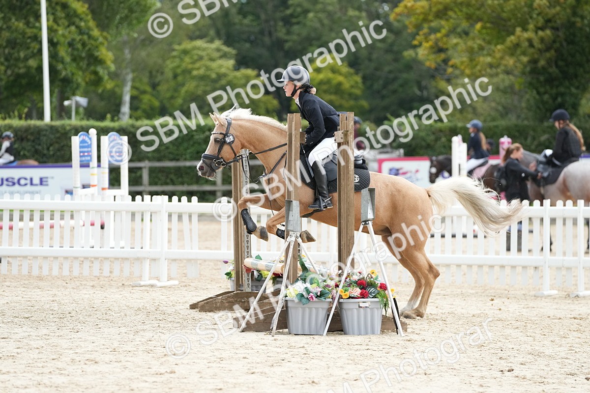 SBM_19642 - J49 - Open 50cm