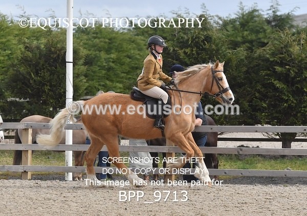 BPP_9713 - RING 2 - M&M