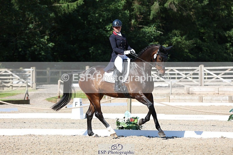 230526-094403-05149 - 357-VIVENDI_HERO-Saffron_Cresswell-WEDTrotUp+DR