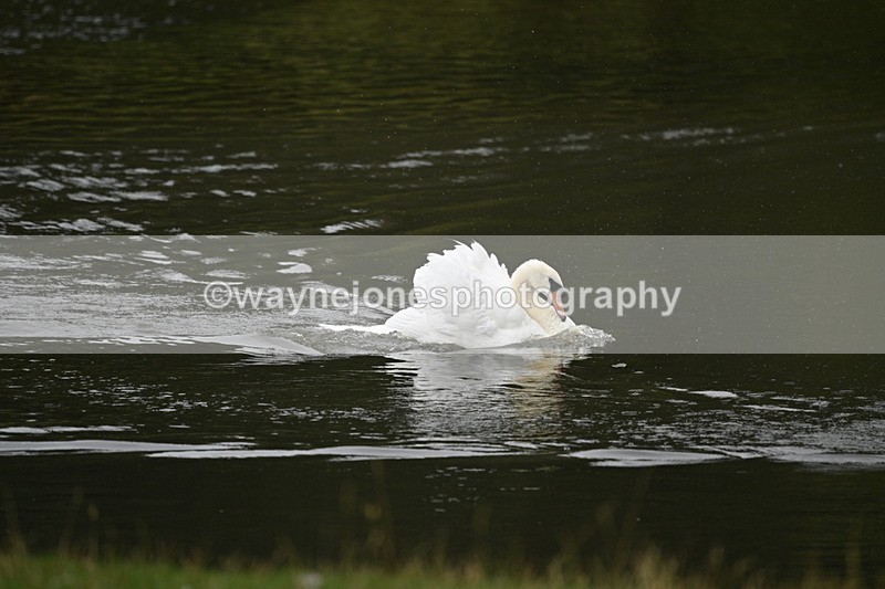 WJ7_7489 - Time at Water 10:28 to 11:05