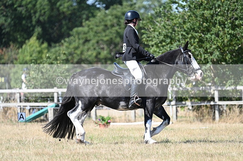 WJ7_0875 - Time 12:34 to 12:47