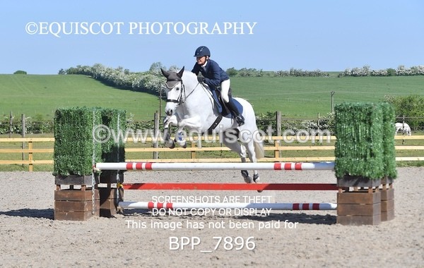 BPP_7896 - CLASS 1 - CLEAR ROUNDS