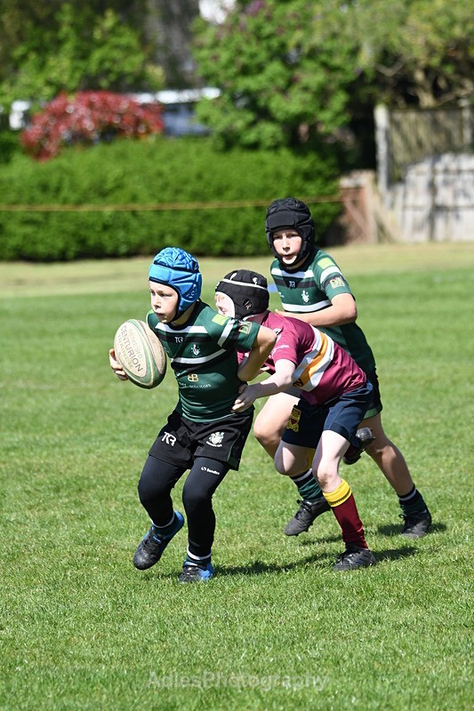  - Selby Rugby Festival 2025
