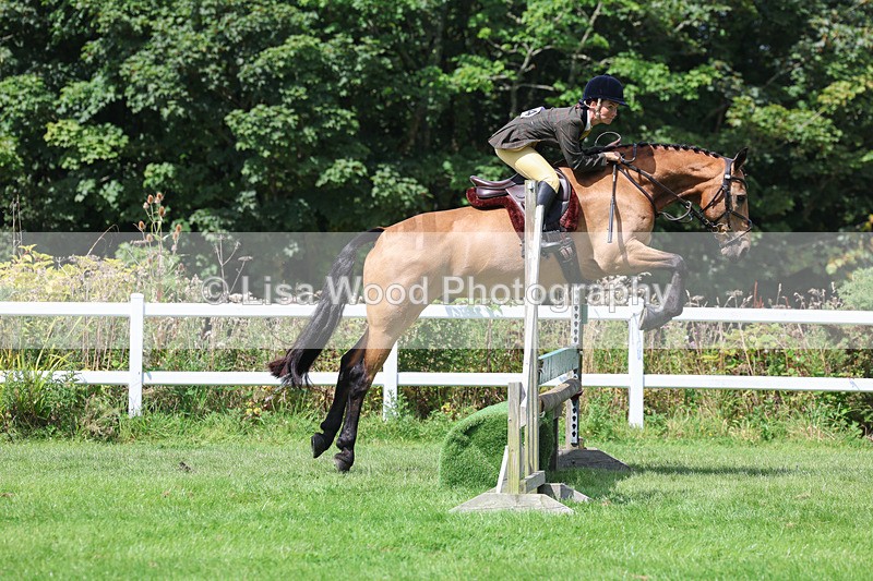 3E7A8887 - Class 6: Open Working Horse