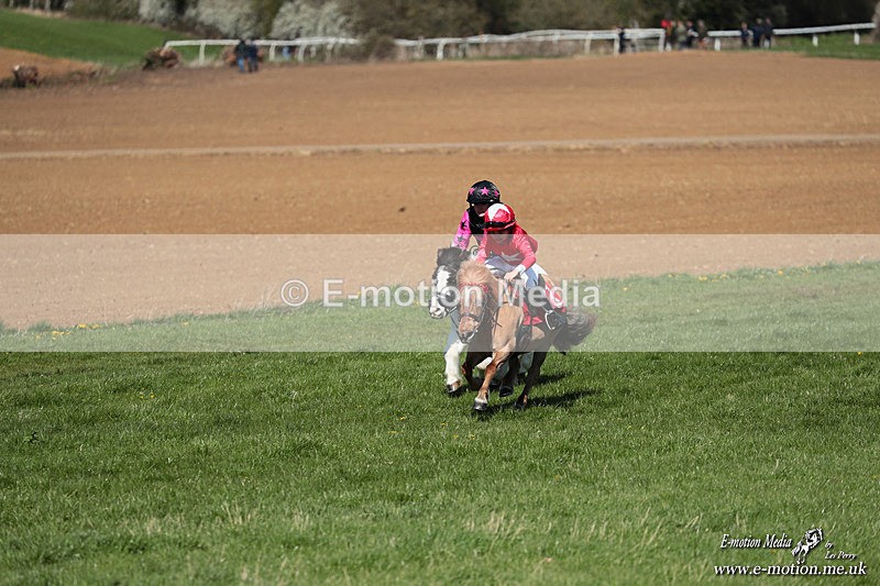 Shet 060426 148 - Shetland Pony Racing Paxford Races Easter Mon 06/04/26