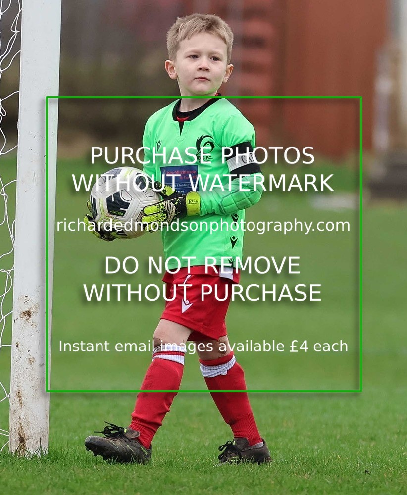 533A0787 - Ibis Under 7's (28/2/26)