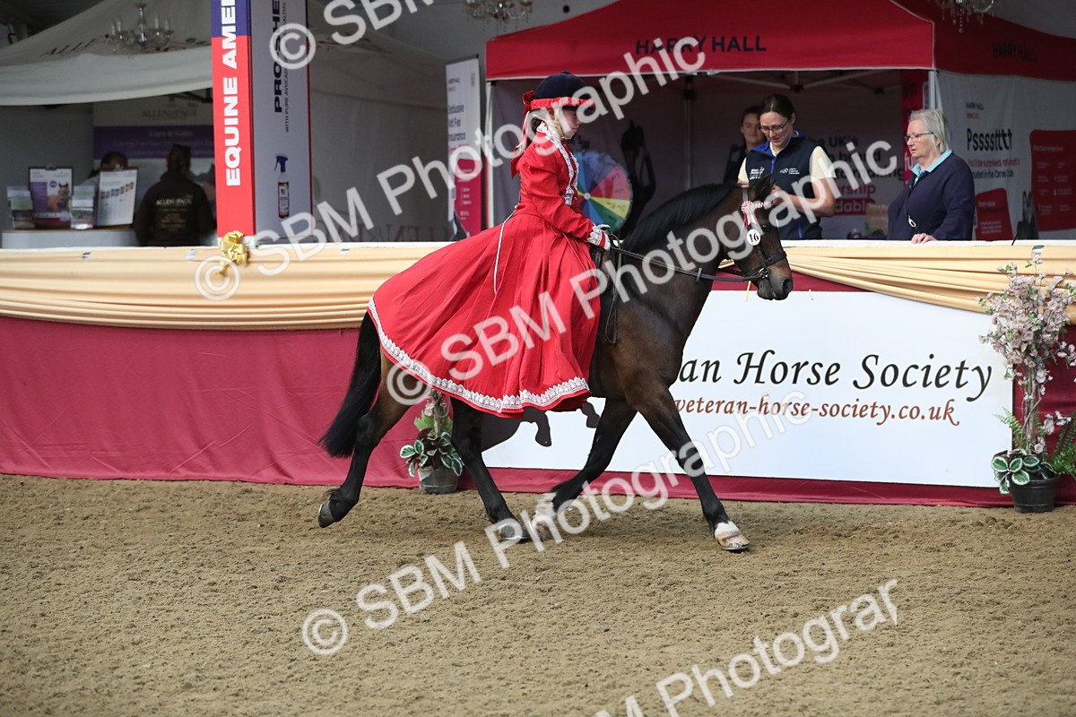 SBM_11238 - Class 104 Ridden Costume - Astride Junior