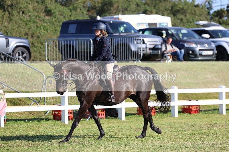 3E7A5396 - Class 2: Rising Star Large Hack/Riding Horse