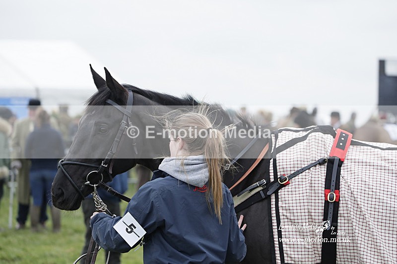 PtP 050323 1043 - Blackmore & Sparkford Vale Hunt PtP - Somerset 05/03/23