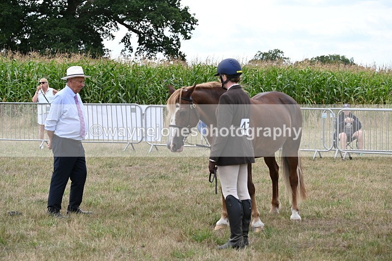 WJ6_6150 - Class 19 In-hand Veterans (Uploaded correct folder)