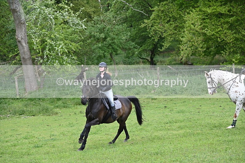 WJ6_2864 - A Camera