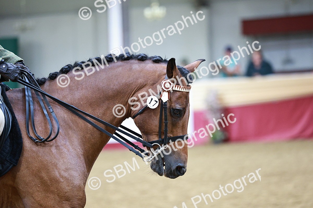 SBM_03552 - Class 6A Area Ridden Pre-Vet
