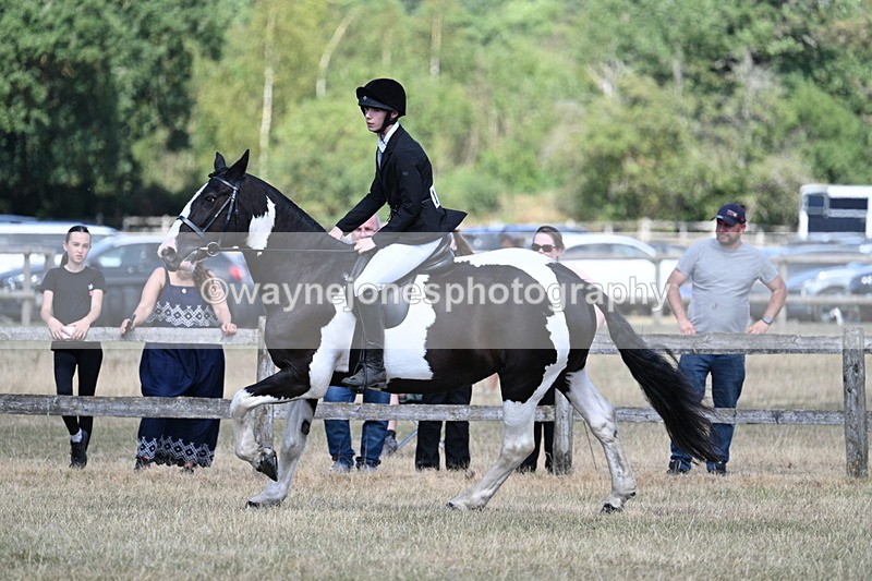 WJ7_3441 - Class 8 Ridden Veterans