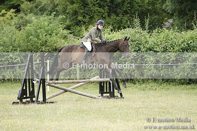 BVR160717-911 - Ring 3 BVRC Show 16/07/17