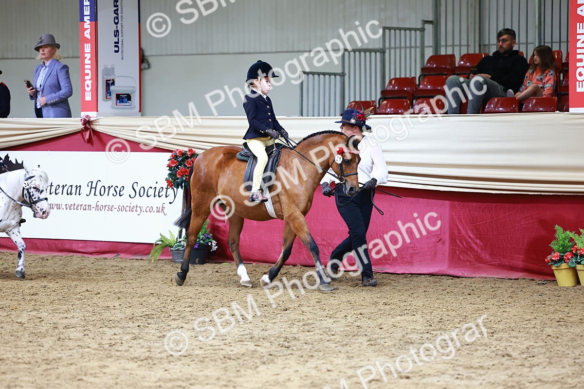 SBM_23669 - Class 905 - Supreme Final - Ridden Veteran