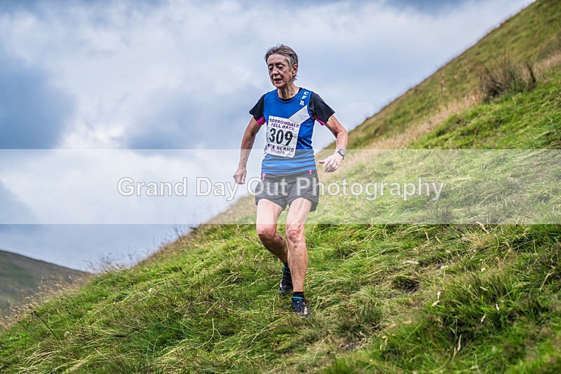 Steel Fell-724 - Steel Fell Race Wednesday 7th August 2024