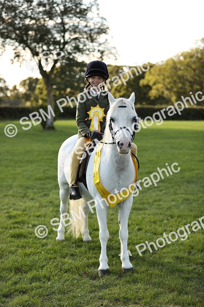 SBM_29482 - S7 - Novice & Newcomers Ridden Pony