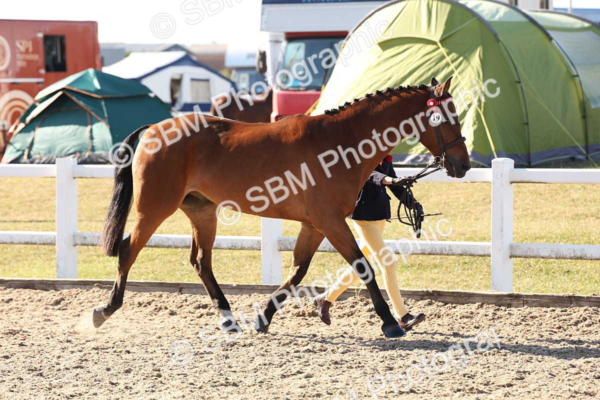 SBM_11723 - Class 204 - Young Handler 11 to 16 years