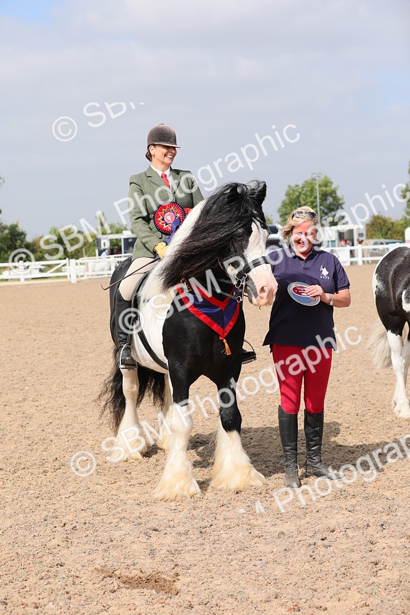 SBM_12846 - Class 307 Ridden Coloured Pony