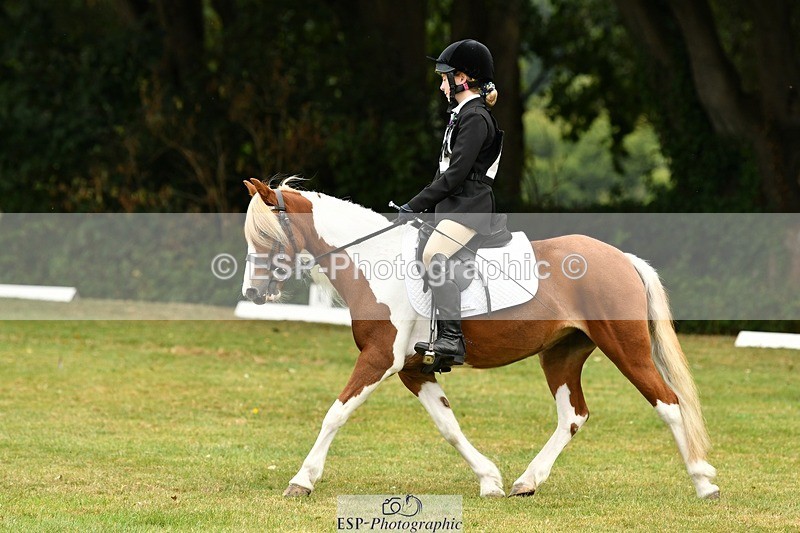 250820A-114732-05295 - 11am to 12