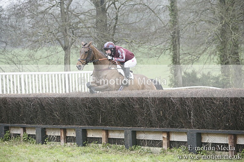 PtP 020418 -309 - Old Berks Point-to-Point Races Easter Monday 02/04/18