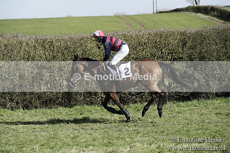 PtP 250317 203 - V.W.H. Hunt Point-to-Point Siddington 25/03/17