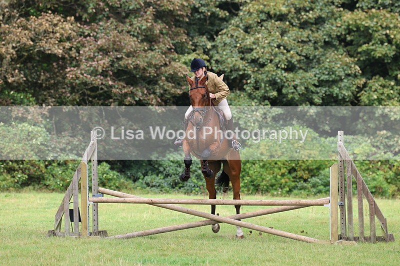 3E7A5818 - Class 26 and 27: 70cm Working Hunter