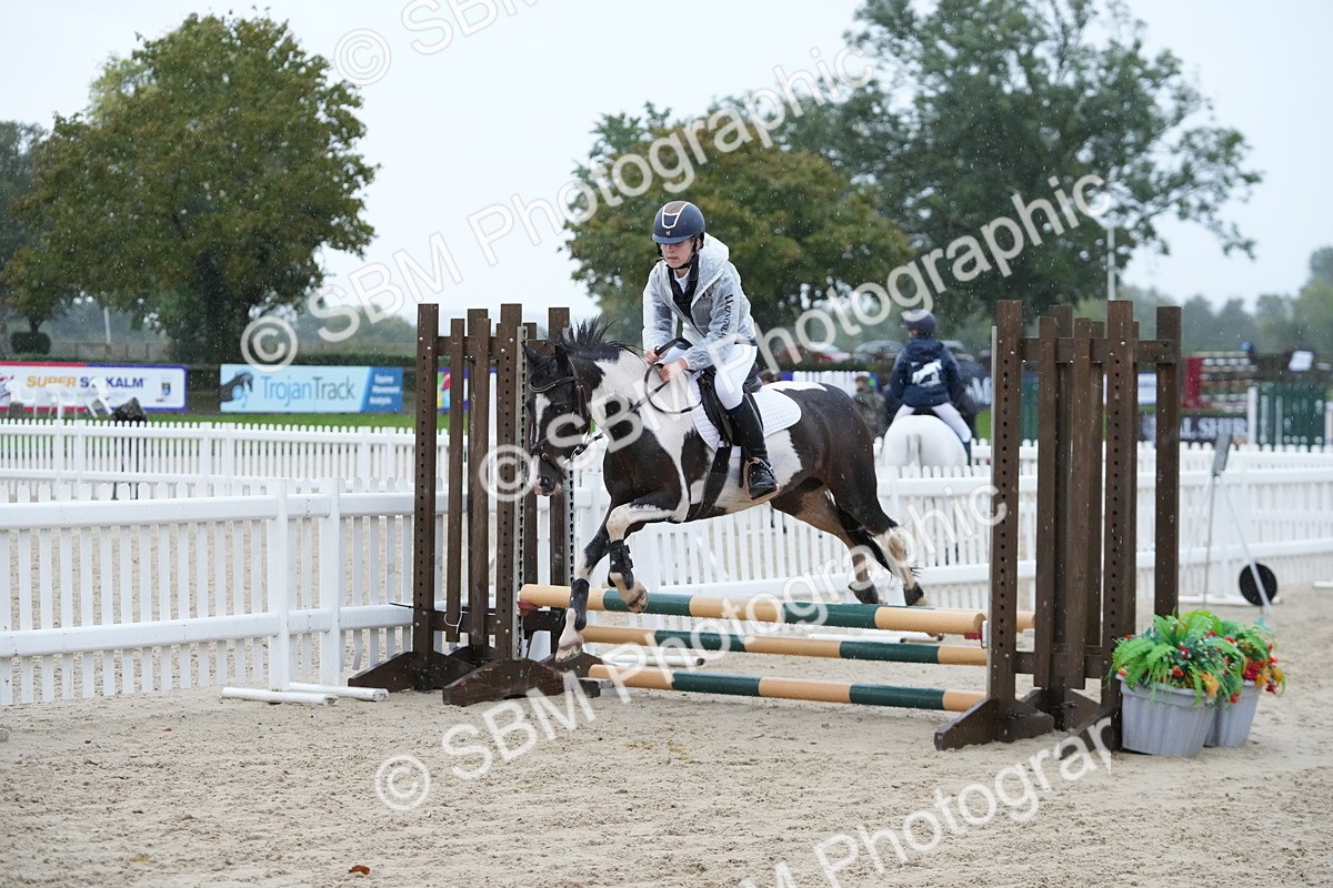 SBM_36020 - J5 - Junior Pony 50cm Championship
