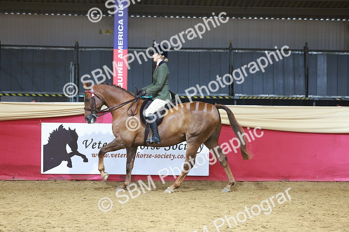 SBM_09656 - Class 102 - HOYS Veteran Qualifier - Ridden Veteran