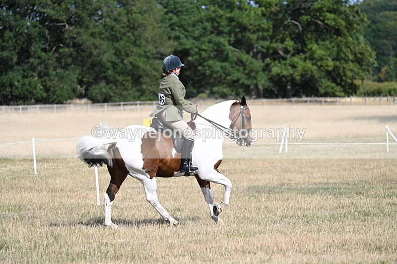 WJ7_7441 - Class 14 Ridden Coloured