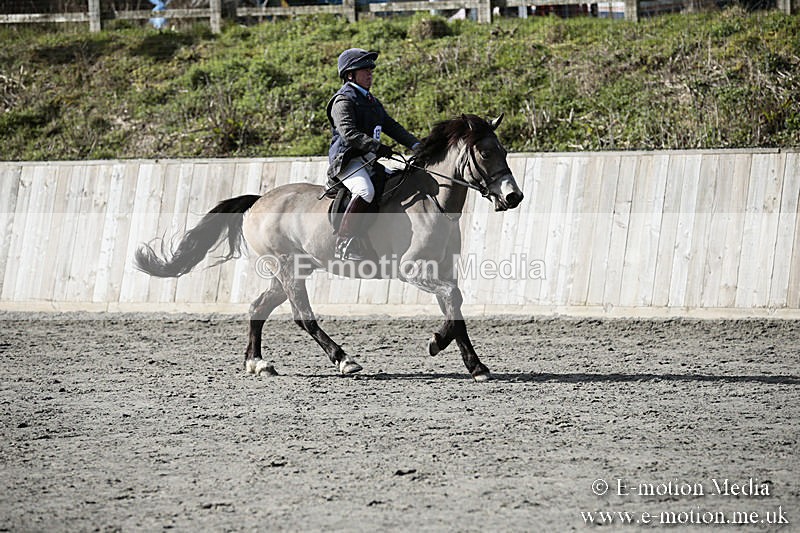 BVRC SJ 170319 197 - Bourne Valley Riding Club Showjumping 17/03/19