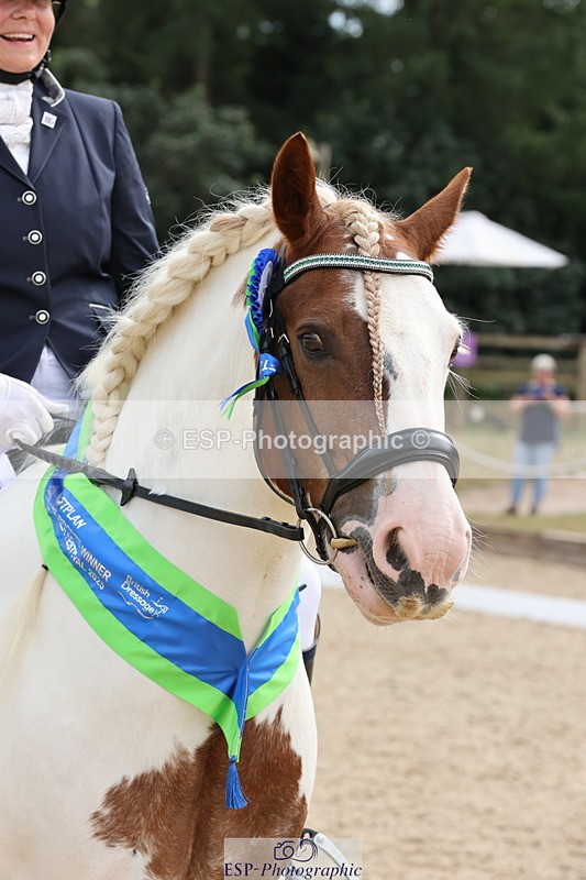 250718A-162814-02828 - Fri Presentations