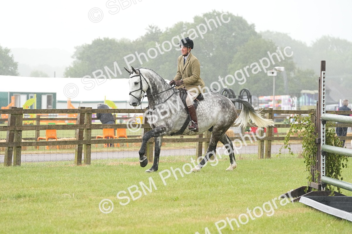 SBM_12672 - Class 97-98 - LIHS BSHA Rising Star Working Show Horse Hunter