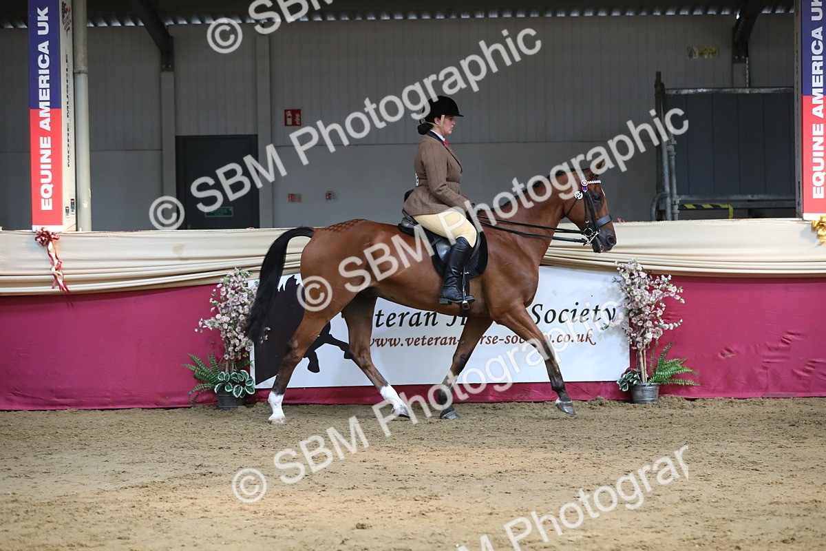 SBM_08281 - Class 11R Regional Ridden Veteran