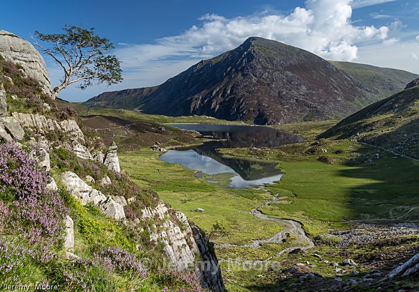 m279 - Snowdonia & Mid-Wales p/c catalogue