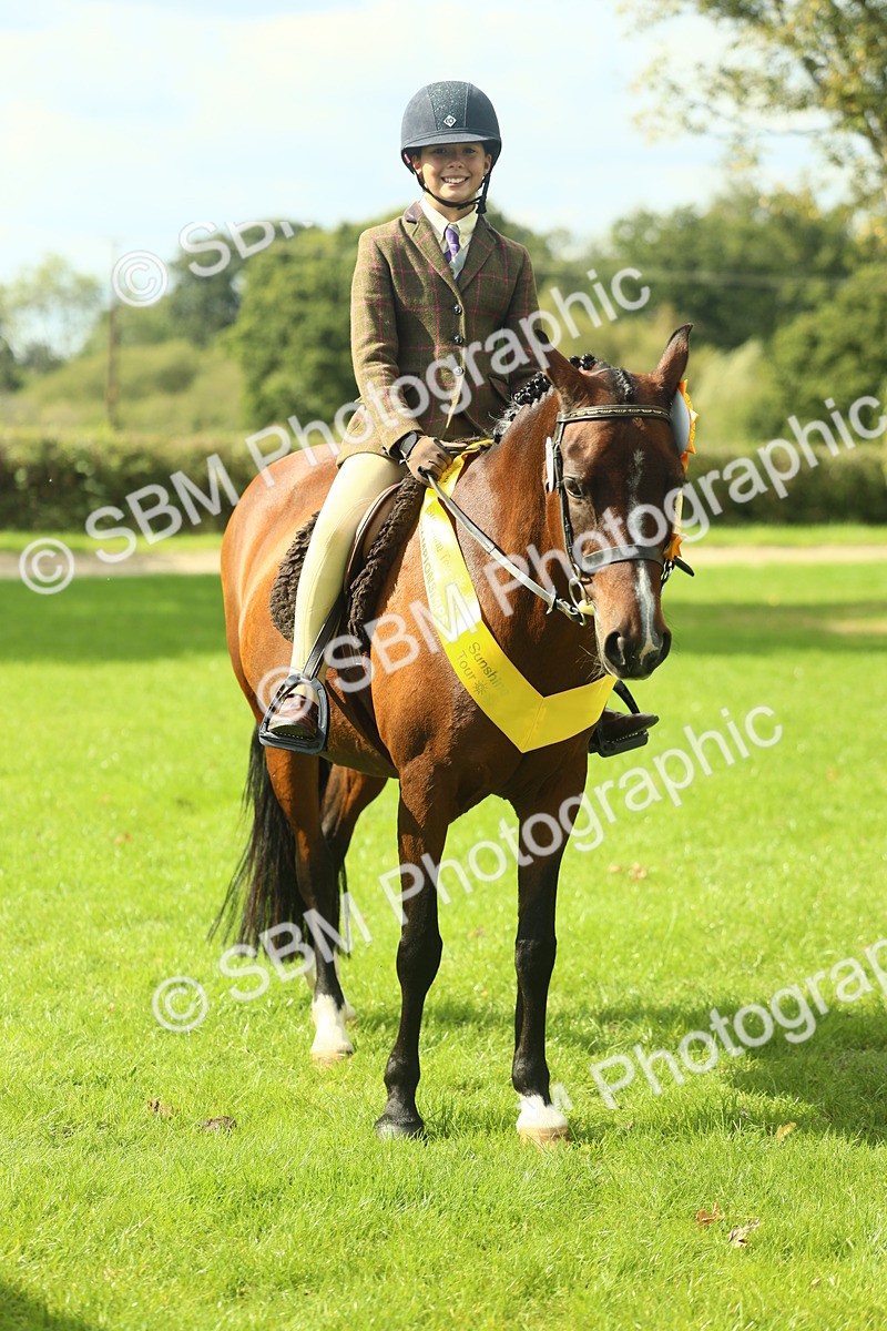 SBM_44992 - Working Hunter Pony Supreme Championship