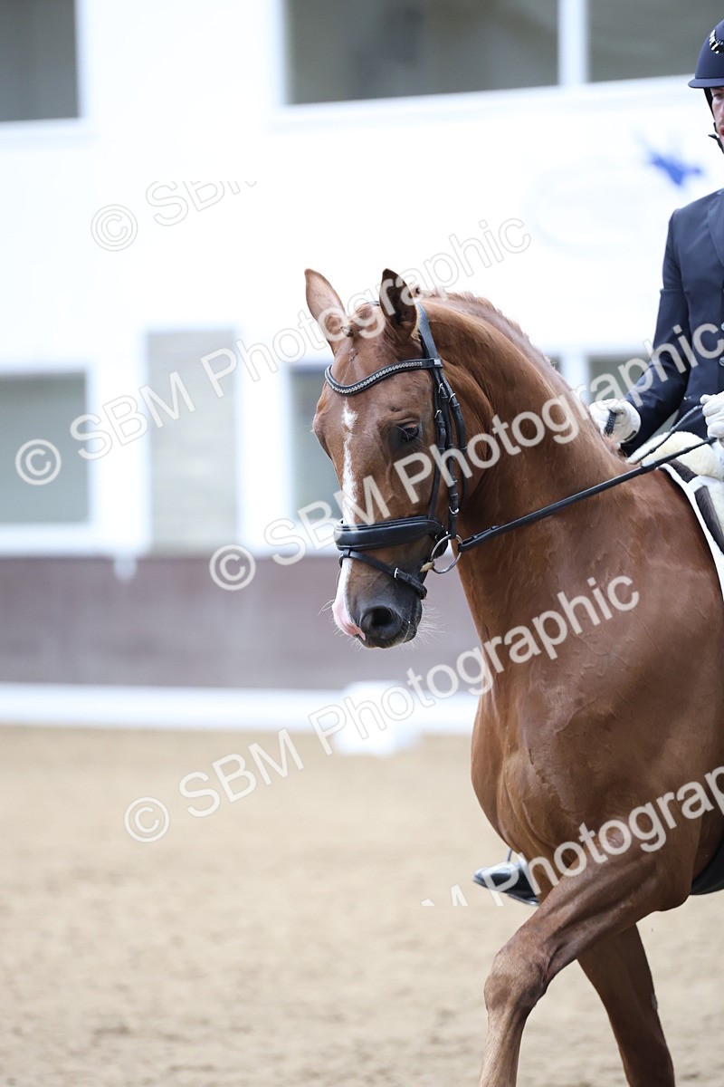 SBM_003237 - Class 5 - Novice 6 Gold - 11.41-12.51