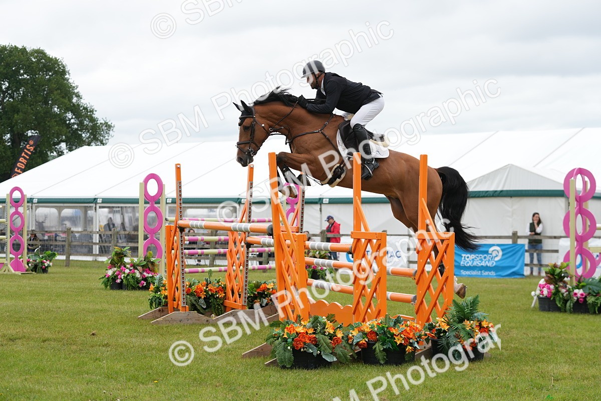 SBM_03203 - Class 201 - British Horse Feeds Speedi Beet Horse of the Year Show Grade  C