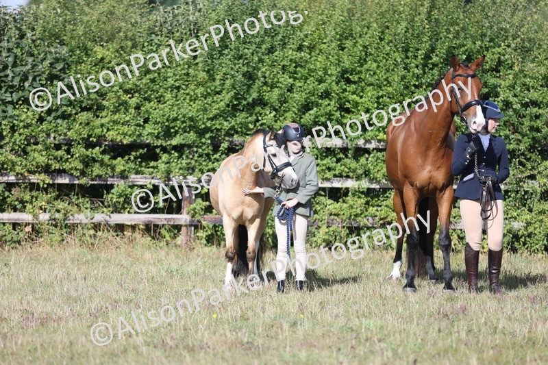 20250831-1401 - Class 21 - Inhand Open