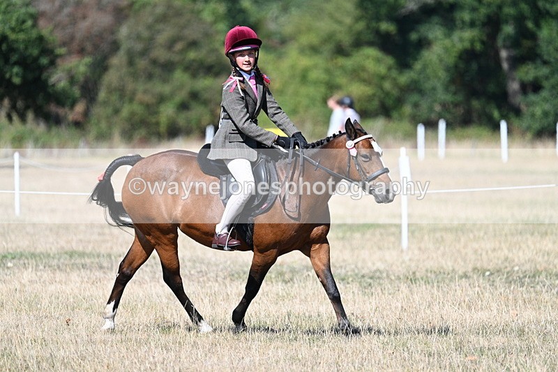 WJ7_4037 - Class 9 Mountain & Moorland Ridden