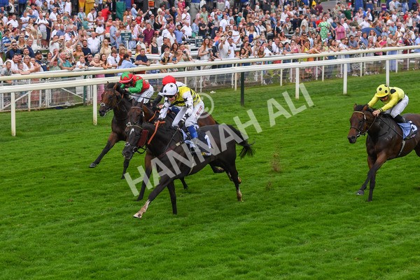 100923-Race 5-Commanche Falls-0885 - Race 5 3.50pm BetGoodwin Garrowby Stakes