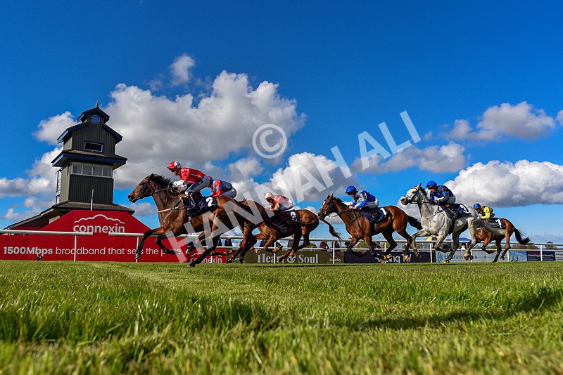 250424-Race 6-Wheres Jeff-3986 - Race 6