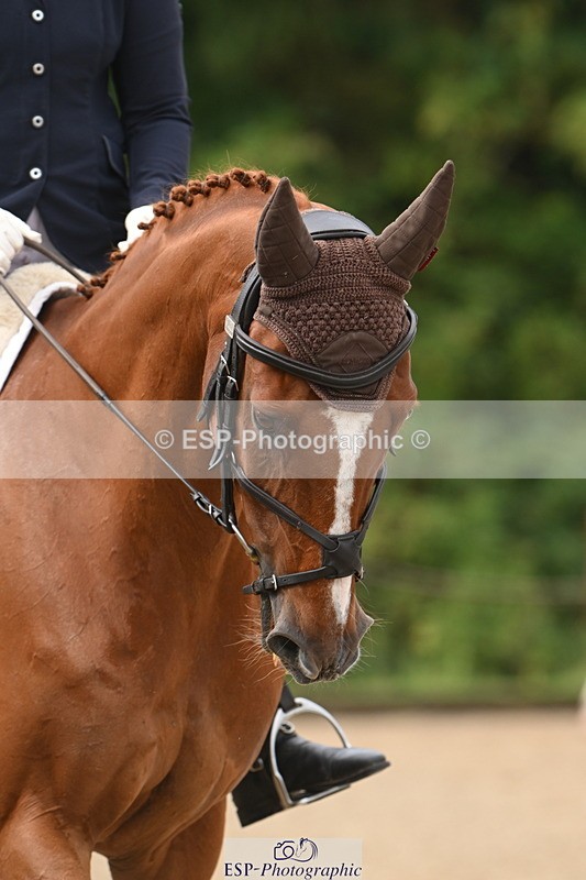 250719A-094326-03036 - 030-Harriet.Dickin-Custer.of.the.West