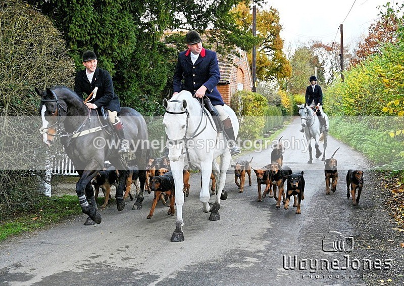 WJ7_0959 - Edited examples