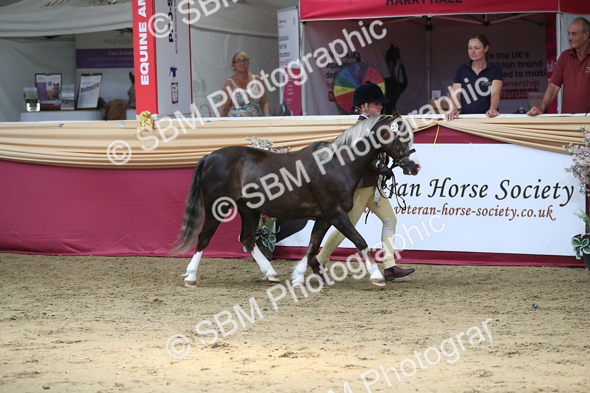 SBM_06624 - Regional IH Champ